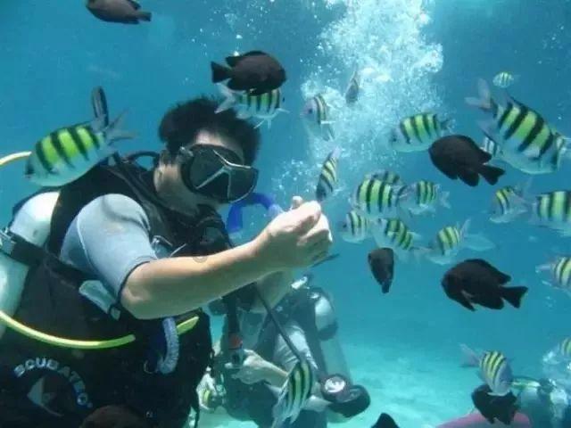 逍客车天窗集水槽开裂怎么办？游戏画面
